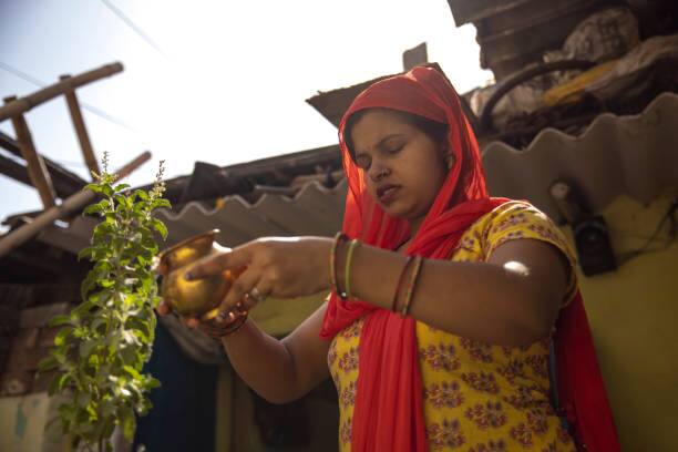 तुळशीला पाणी घाला : पहाटे उठून तुळशीला पाणी घालणं, शास्त्रामध्ये शुभ मानलं जातं.