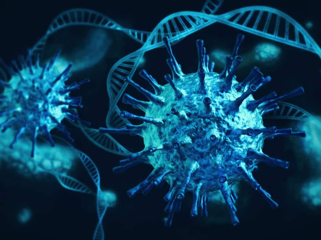 Indian scientists come up with coronavirus busting antibody effective against multiple variants  भारतीय शास्त्रज्ञांचे मोठे यश, कोरोनाच्या व्हेरियंटविरोधात लढणाऱ्या अँटीबॉडीजचा शोध