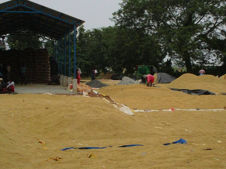 Farmers have requested the government to take steps to procure paddy with up to 20 percent moisture from the last paddy procurement stations TNN ஈரப்பதம் 20% வரை கொள்முதல் செய்யுங்கள்; அரசுக்கு தஞ்சை விவசாயிகள் வலியுறுத்தல்