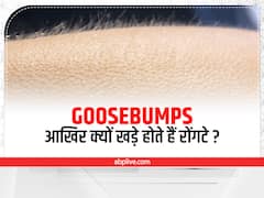अक्सर सुना है डर के मारे रौंगटे खड़े हो गए! आखिर क्यों खड़े होते हैं रौंगटे? आज जान भी लीजिए
