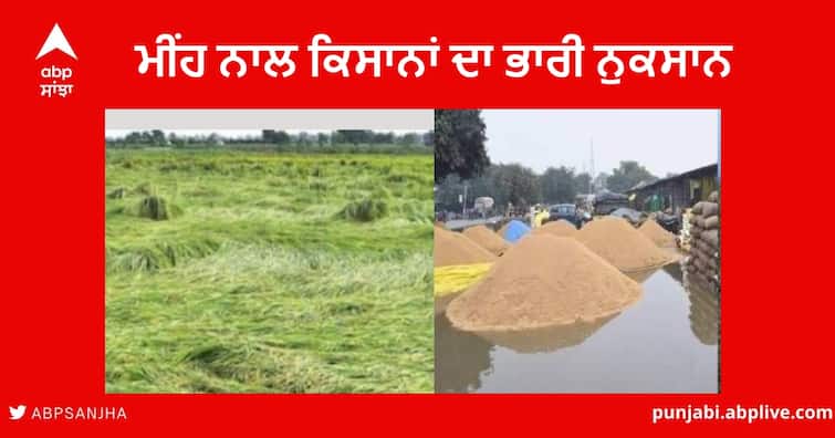 Farmers Crops heavy loss due to Rain in Punjab , Farmer Baldev Singh Says NO arrangement in the Mandia Rain in Punjab : ਬਾਰਸ਼ ਨੇ ਬੁਰੀ ਤਰ੍ਹਾਂ ਝੰਬੇ ਕਿਸਾਨ, ਖੇਤਾਂ 'ਚ ਤਬਾਹੀ ਤੇ ਮੰਡੀਆਂ 'ਚ ਵੀ ਨੁਕਸਾਨ