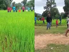 Balrampur: मिनी स्टेडियम की जमीन पर दबंगों ने किया कब्जा, खेल के मैदान पर उगा दी फसल