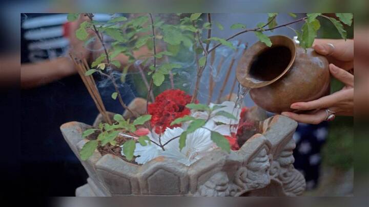 सकाळी तुळशीला पाणी घालून 'ॐ नमो भगवते वासुदेवाय' या मंत्राचा जप करा. यामुळे घरात भरभराट होते.