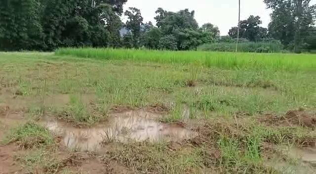 सरपंच के माध्यम से एक ज्ञापन भी आया है. उन्होंने ग्रामसभा से अतिक्रमण हटाने को कहा है. एसडीएम ने आगे बताया कि तहसीलदार को अतिक्रमण हटाने के लिए निर्देशित कर दिया गया है. उन्होंने कहा कि खेल मैदान को बराबर कर पंचायत को सौंप दिया गया था.