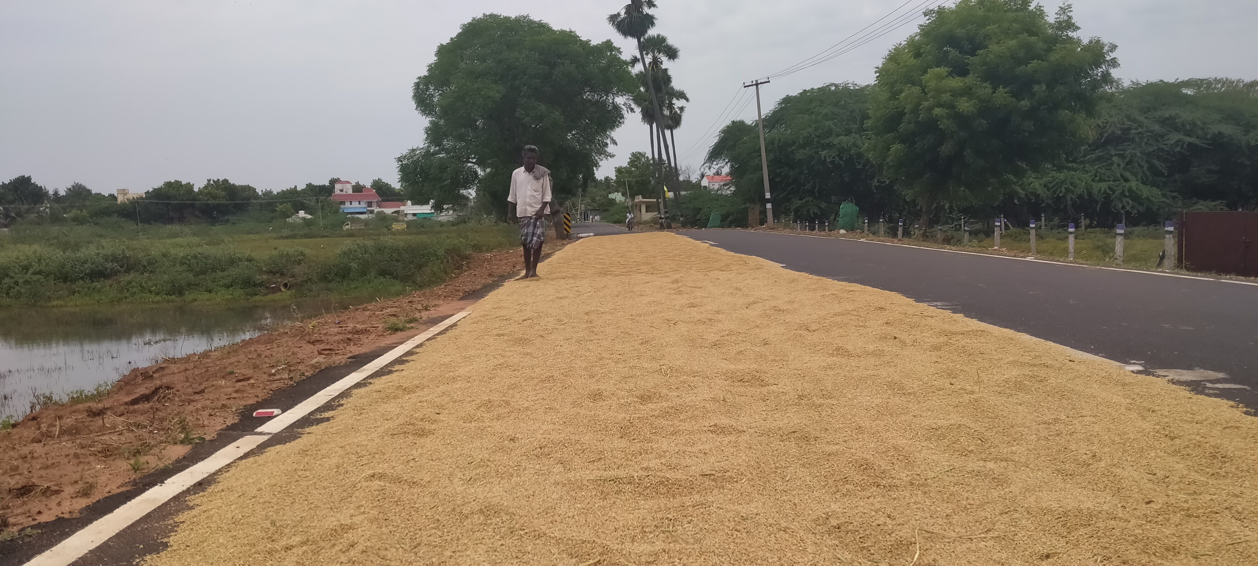 ஈரப்பதம் 20% வரை கொள்முதல் செய்யுங்கள்; அரசுக்கு தஞ்சை விவசாயிகள் வலியுறுத்தல்