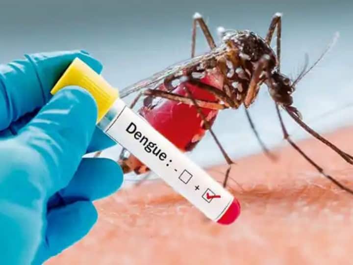 Dengue Patients Experienced Liver Disease And Capillary Leak Syndrome Complications
