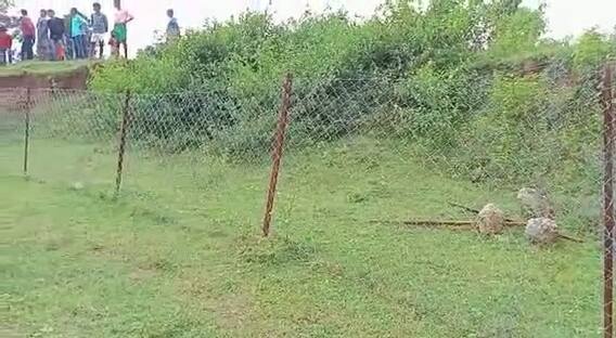Balrampur: मिनी स्टेडियम की जमीन पर दबंगों ने किया कब्जा, खेल के मैदान पर उगा दी फसल Balrampur: मिनी स्टेडियम की जमीन पर दबंगों ने किया कब्जा, खेल के मैदान पर उगा दी फसल