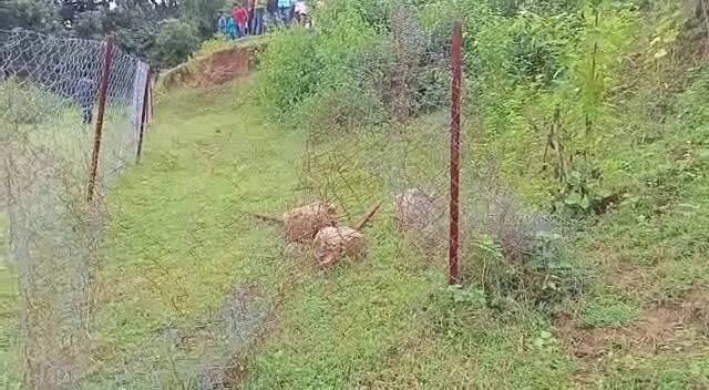 अतिक्रमण का खुलासा होने के बाद एसडीएम ने खेल मैदान से कब्जा हटाने की बात कही है. एसडीएम भरत कौशिक ने माना कि खेल के मैदान में अतिक्रमण कर लिया गया है. मौके पर जाने से पता चला कि खेल मैदान का कुछ हिस्सा खाली है और कुछ पर अतिक्रमण है.