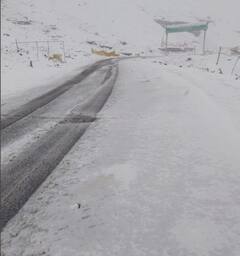 Himachal Weather News: शिमला में हो रही झमाझम बरसात, रोहतांग और धौलाधार सहित ऊंची पहाड़ियों पर बर्फबारी, देखें तस्वीर