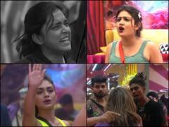 ‘मुंह लगाने लायक नहीं है’, श्रीजिता ने पार की हदें, गोरी नगोरी के स्टैंडर्ड पर उठाए सवाल, कटा बवाल