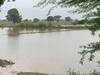 Bharatpur: पूर्वी राजस्थान में भारी बारिश से खेतों में भरा पानी, सरसों की फसल में इस बार गिरावट की आशंका