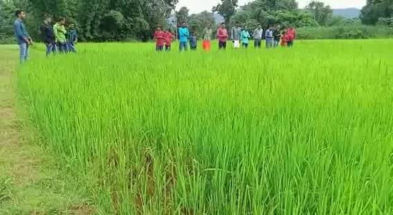 Balrampur: मिनी स्टेडियम की जमीन पर दबंगों ने किया कब्जा, खेल के मैदान पर उगा दी फसल Balrampur: मिनी स्टेडियम की जमीन पर दबंगों ने किया कब्जा, खेल के मैदान पर उगा दी फसल