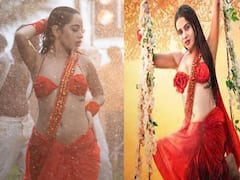 उर्फी जावेद का रिलीज हुआ नया गाना, पानी में भीगते लाल साड़ी में कहा- 'हाय हाय ये मजबूरी'