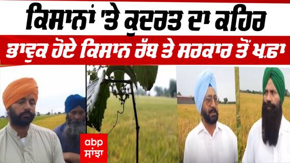 Nabha : ਕਿਸਾਨਾਂ 'ਤੇ ਕੁਦਰਤ ਦਾ ਕਹਿਰ, ਭਾਵੁਕ ਹੋਏ ਕਿਸਾਨ ਰੱਬ ਤੇ ਸਰਕਾਰ ਤੋਂ ਖਫ਼ਾ