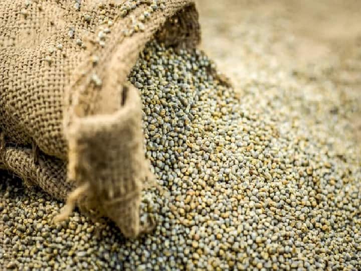 Haryana Government Provide 450 rupees per quintal Compensation on Pearl Millet Price Difference Bhavantar Bharpayee Yojana: खुशखबरी! बाजरा के सही दाम ना मिलने पर किसानों को 450 रुपये/क्विंटल का भुगतान करेगी सरकार