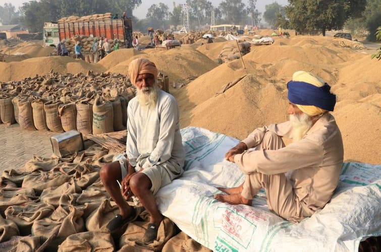 Fury of unseasonal rains, paddy harvest stopped, bidding breaks due to soaking of crops in markets Farmer News: ਬੇਮੌਸਮੀ ਬਾਰਸ਼ ਦਾ ਕਹਿਰ, ਝੋਨੇ ਦੀ ਵਾਢੀ ਰੁਕੀ, ਮੰਡੀਆਂ 'ਚ ਫਸਲ ਭਿੱਜਣ ਕਰਕੇ ਬੋਲੀ ਨੂੰ ਬ੍ਰੇਕ, ਖੇਤੀਬਾੜੀ ਵਿਭਾਗ ਦਾ ਦਾਅਵਾ ਨੁਕਸਾਨ ਦੀ ਕੋਈ ਰਿਪੋਰਟ ਨਹੀਂ