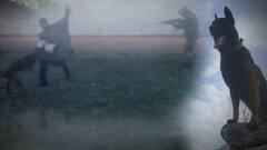 Indian Army Dog Zoom fights terrorist | 2 బుల్లెట్లు దిగినా తగ్గేదేలే ! | Chinare Corps | ABP Desam