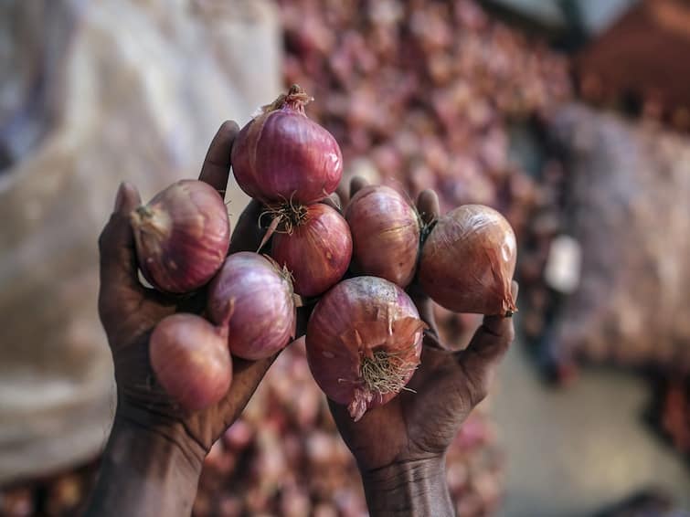 Agriculture News: Know why onion price soars once again Onion Price Hike: ગરીબોની કસ્તુરી ફરી થઈ મોંઘી, જાણો શું છે કારણ