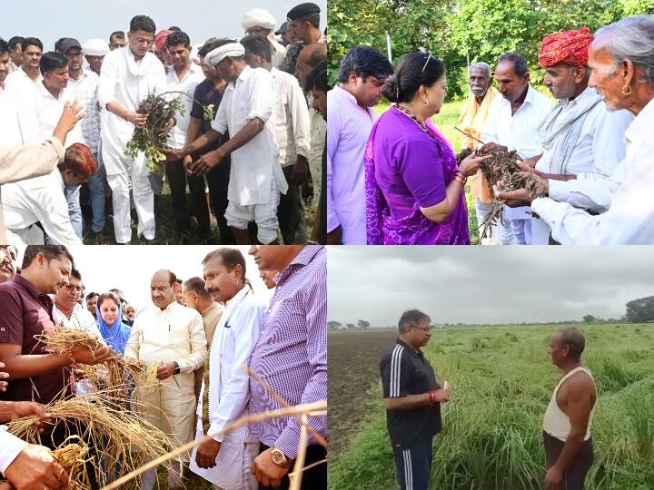 Rajasthan ruling party and opposition leaders are reaching in farm after crops damage ANN Rajasthan Politics: राजस्थान में बेमौसम बरसात की किसानों पर मार, सियासी फसल उगाने में लगे नेता