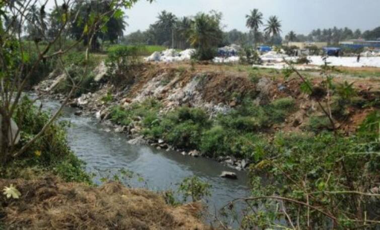 Trichy: Farmers demand that all the lakes in Thirumanoor Union should be drained TNN திருமானூர் ஒன்றியத்தில்அனைத்து ஏரிகளும் தூர்வார வேண்டும்  - விவசாயிகள் கோரிக்கை