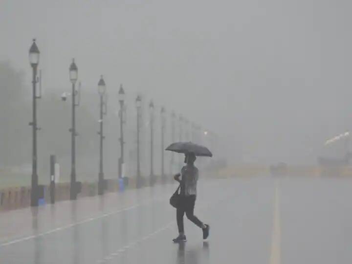 IMD Weather Update Heavy rain Karnataka Tamil Nadu Delhi IMD Weather Update: Heavy Downpour Predicted For Karnataka, Tamil Nadu, Delhi To Witness More Rain