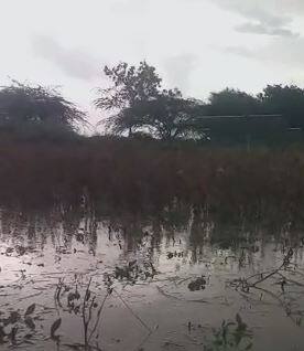 परतीच्या पावसाचा शेतकऱ्यांना फटका