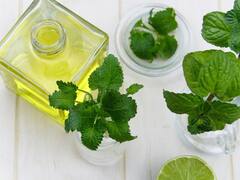 పుదీనా తినడం వల్ల ఈ ఆరోగ్య సమస్యలకి చెక్ పెట్టేయవచ్చు