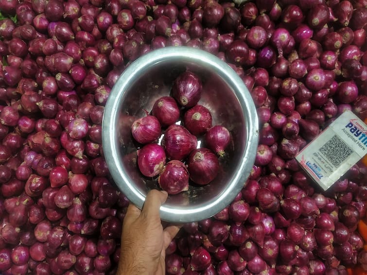 Agriculture News: Farmers are having to bear the cost of falling onion prices Onion Price:  ડુંગળીના ભાવ ગગડતાં ખેડૂતોને ખર્ચ પડી રહ્યો છે માથે, સૌરાષ્ટ્રના આ જિલ્લાના ખેડૂતોની હાલત કફોડી