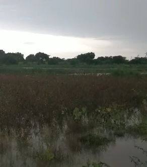 शेतकरी संकटात