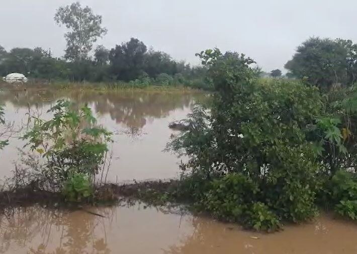 Marathwada Rain : मराठवाड्यात परतीच्या पावसाचं थैमान, 'या' जिल्ह्यांना फटका, शेती पिकांचं मोठं नुकसान 