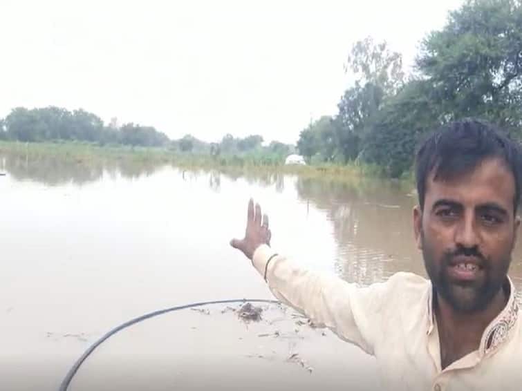 Marathwada Rain News Heavy rain in Marathwada, heavy loss of agricultural crops Marathwada Rain : मराठवाड्यात परतीच्या पावसाचं थैमान, 'या' जिल्ह्यांना फटका, शेती पिकांचं मोठं नुकसान 