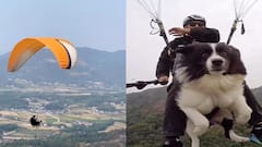 ਅਸਮਾਨ 'ਚ ਉੱਡਦੇ ਕੁੱਤੇ ਦੀ ਵੀਡੀਓ ਹੋਈ ਵਾਇਰਲ, ਮਾਲਕ ਨਾਲ ਪੈਰਾਗਲਾਈਡਿੰਗ ਦਾ ਖੂਬ ਮਜ਼ਾ ਲਿਆ