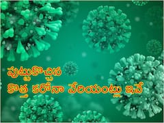 మళ్లీ పుట్టుకొచ్చిన రెండు కొత్త కోవిడ్ వేరియంట్లు, పలు దేశాల్లో బయటపడుతున్న కేసులు, అవి ప్రాణాంతకమే అంటున్న నిపుణులు
