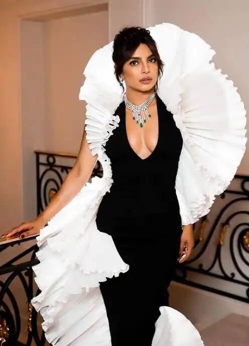 પ્રિયંકા ચોપરાને પણ એવી અજીબ આદત છે જેને તે ઇચ્છે તો પણ છોડી શકતી નથી. પ્રિયંકાને ડિઝાઈનર શૂઝ કલેક્ટ કરવાનો ઘણો શોખ છે.