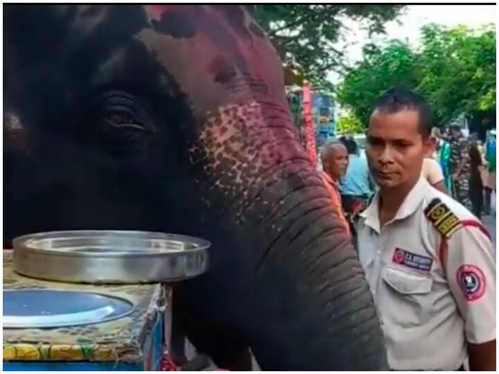 ठेले पर गोलगप्पे खाता दिखा चटोरा हाथी, Video देख दंग रह जाएंगे आप Elephant eats street food Golgappe in Assam viral video on social media ठेले पर गोलगप्पे खाता दिखा चटोरा हाथी, Video देख दंग रह जाएंगे आप