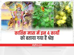 श्रीमन नारायण नारायण हरि हरि, इन 4 कामों को करने से कार्तिक मास में मिलती है विष्णु जी की कृपा