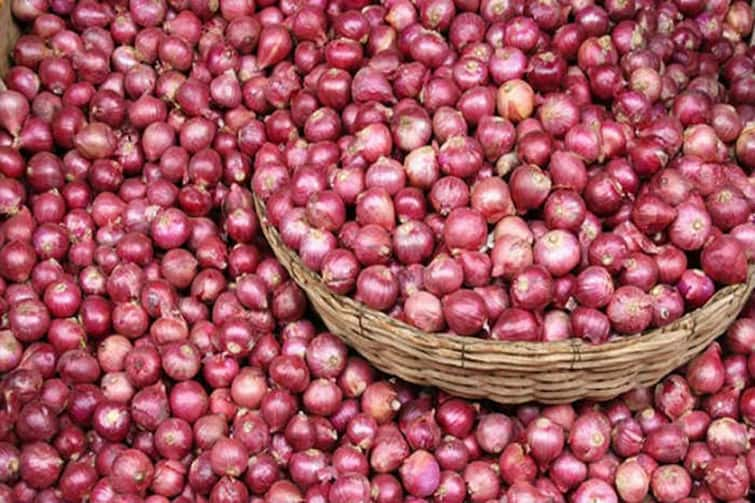 Maharashtra Onion Price News Farmers are worried due to fall in onion prices in Maharashtra Onion Price : कांद्याच्या दरात घसरण झाल्यानं शेतकरी चिंतेत, शेतकऱ्यांकडून कांद्याचा स्टॉक