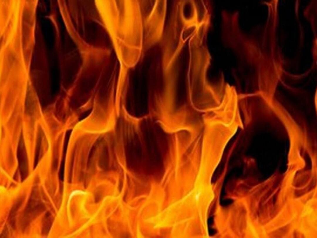 சாதிச் சான்றிதழ் வழங்கப்படாததால் தீக்குளித்த பழங்குடி கூலித் தொழிலாளி உயிரிழப்பு.. சம்பவ இடத்தில் நிகழ்ந்தது என்ன?