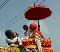 હાથી પર સવાર હતા મહંત અને અચાનક વીજ તારને છત્રી અડી જતા પટકાયા નીચે, Watch Video