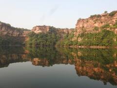 In Photos: पैंथर और उदबिलाओं की अटखेलियां कर देगी रोमांचित, चंबल की कराइयों में बढ़ रहा कुनबा