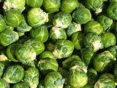 வைட்டமின் சி சத்து மிகுந்த சூப்பர் உணவுகள் !