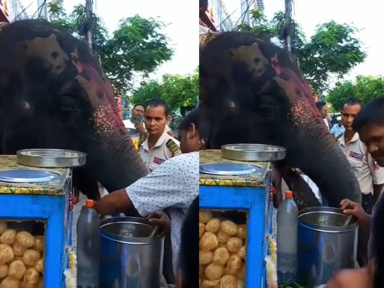 Elephant seen enjoying Panipuri at a roadside stall in Assam video goes viral Watch Video: யானை பசிக்கு பானிபூரி... அடுக்கடுக்காய் பானிபூரிகளை உள்ளே தள்ளும் உணவுப்பிரியர் யானை!