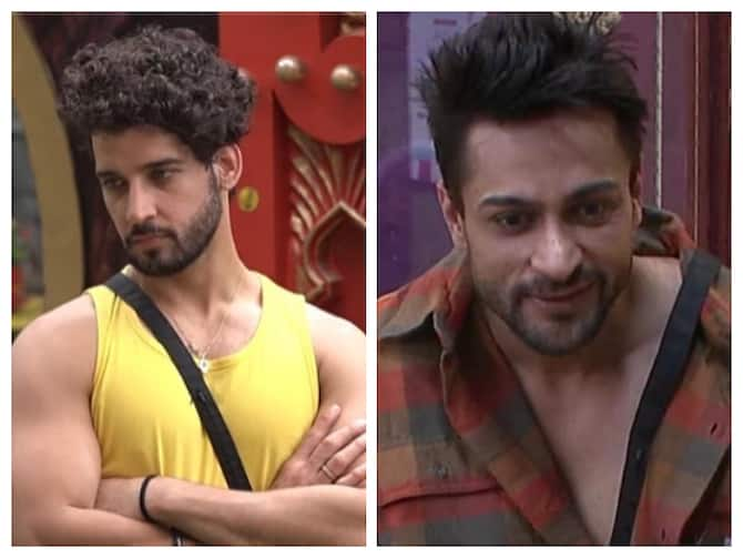 Shalin Bhanot To Gautam Singh Vig: Bigg Boss 16 Contestant's