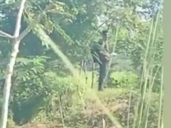 Bihar: Miscreants Open Fire In Bettiah, At Least Three Injured