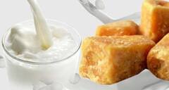 Milk And Jaggery : ਕੀ ਤੁਸੀਂ ਦੁੱਧ ਦੇ ਨਾਲ ਗੁੜ ਖਾਣ ਦੇ ਫਾਇਦਿਆਂ ਬਾਰੇ ਜਾਣਦੇ ਹੋ...ਆਓ ਜਾਣੀਏ