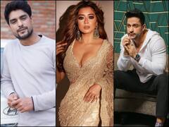 बिग बॉस 16: शालीन भनोट-टीना दत्ता के प्यार का है ये असली सच! अंकित गुप्ता ने कर दिया खुलासा