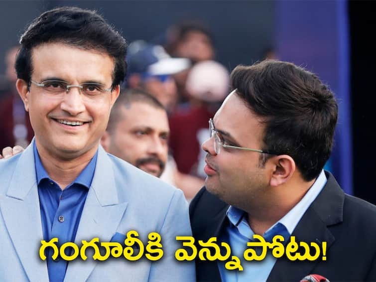 BCCI Election Former BCCI President N Srinivasan Behind Sourav Ganguly's BCCI Exit ABP Desam Exclusive BCCI Election: అయ్యో దాదా! తెరవెనుక కుట్రకు బలి - నమ్ముకున్నోళ్లే ముంచేశారా?