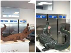 चॉकलेट से बना दिया ऐसा मगरमच्छ केक, लगा जैसे अभी पानी से निकलकर बाहर आया हो