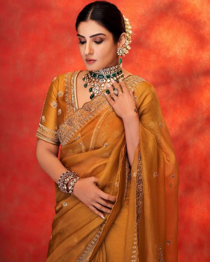 Raveena Tandon Karwa Chauth Look: कोई भी त्योहार हो, बॉलीवुड सेलेब्स उसे बड़े ही हर्षोल्लास के साथ मनाते हैं. ठीक ऐसा ही करवा चौथ पर भी देखने को मिल रहा है.