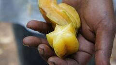 Star Fruit: কোষ্ঠকাঠিন্য, হজমের সমস্যায় ভুগছেন? কামরাঙা খেলে উপকার পেতে পারেন